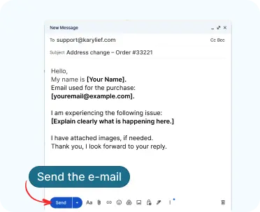 Screenshot showing send button